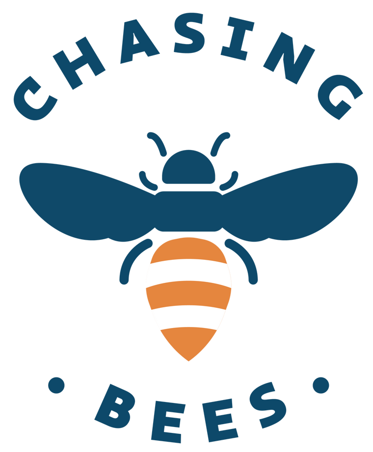 Cheasing Logo Who is UJUBEE – Chasing Bees SA