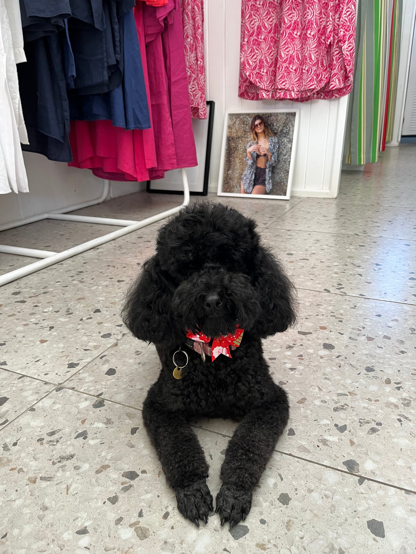 Frankie Graphic T-Shirt